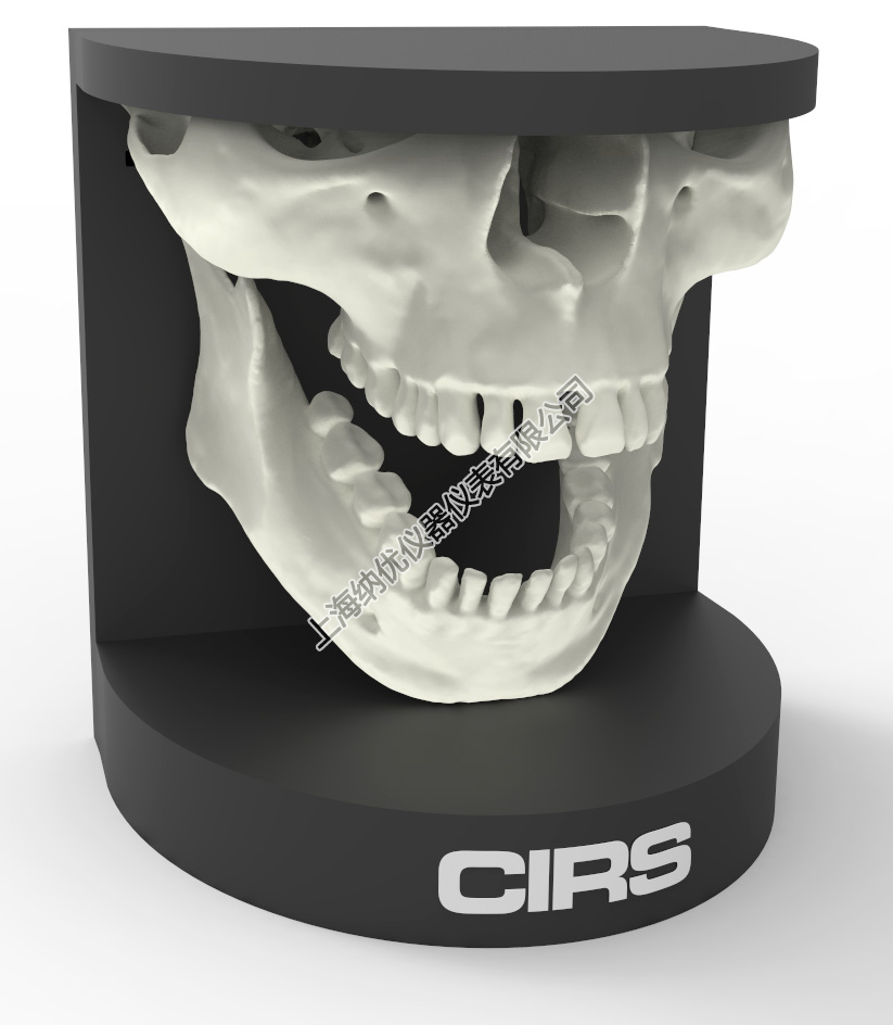 美國(guó)CIRS 134200牙科口腔模體